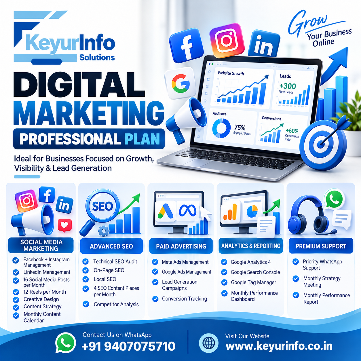 Digital Marketing Professional Plan